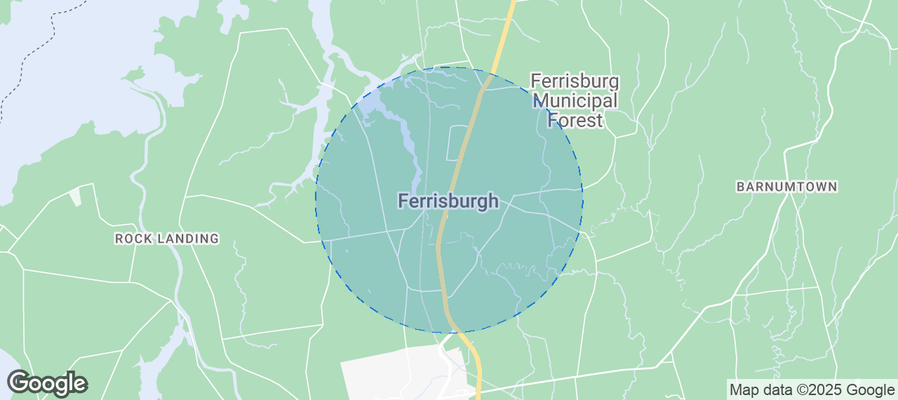 Discover Ferrisburgh Airbnb Analytics
